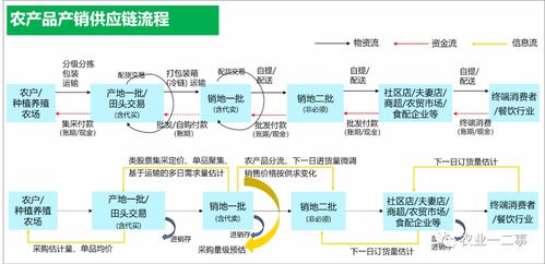農產品供應鏈的深層解析 從田間到餐桌的系統工程